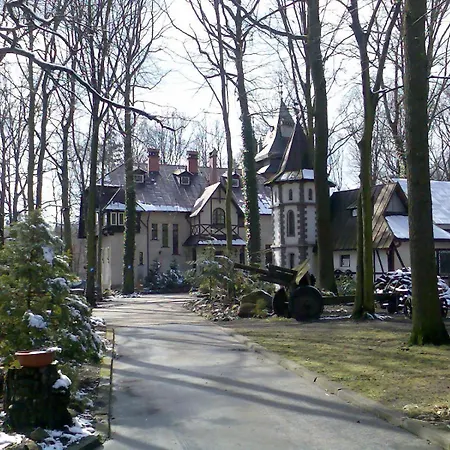 Daria Dworek Mysliwski