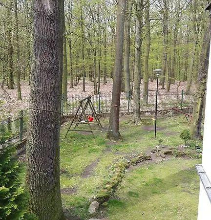 Hotel Daria Dworek Mysliwski 2*