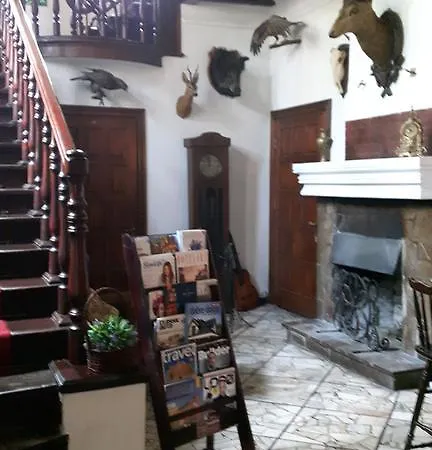 Daria Dworek Mysliwski 2*