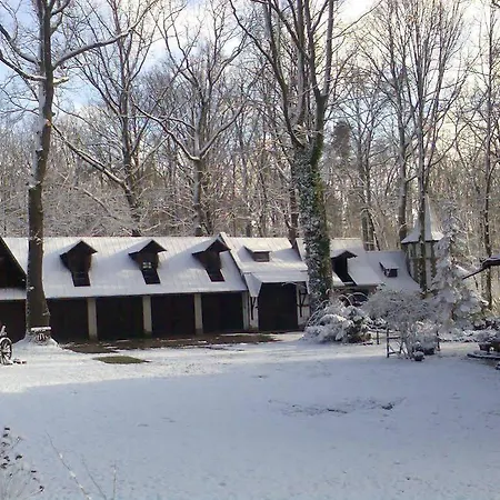 Daria Dworek Mysliwski وودج