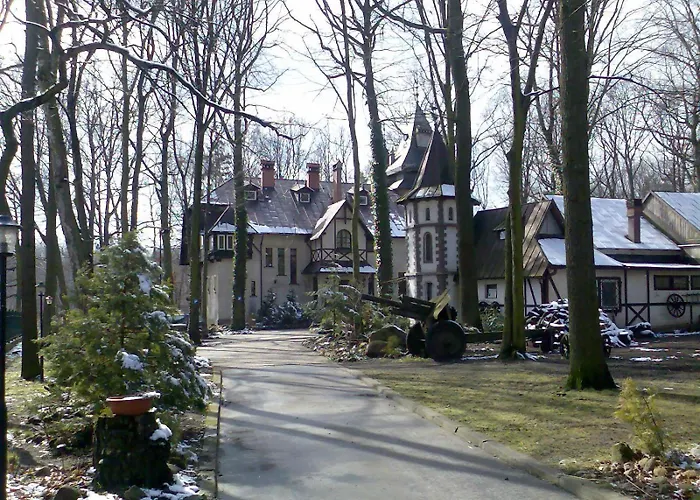 Daria Dworek Mysliwski