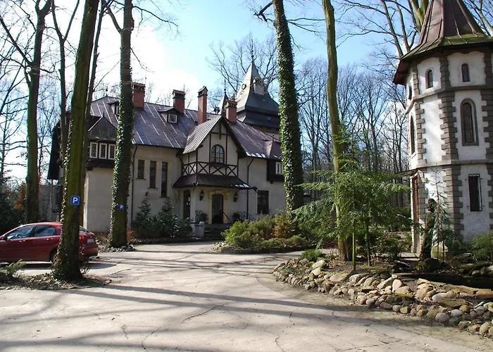 Daria Dworek Mysliwski وودج