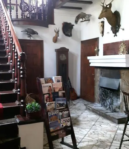 Daria Dworek Mysliwski 2*