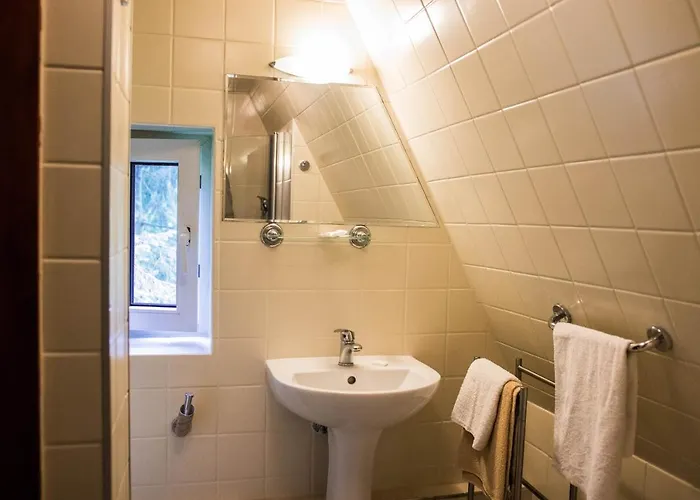 Daria Dworek Mysliwski